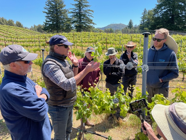 Fritz Westover teaching hands-on in the vineyard